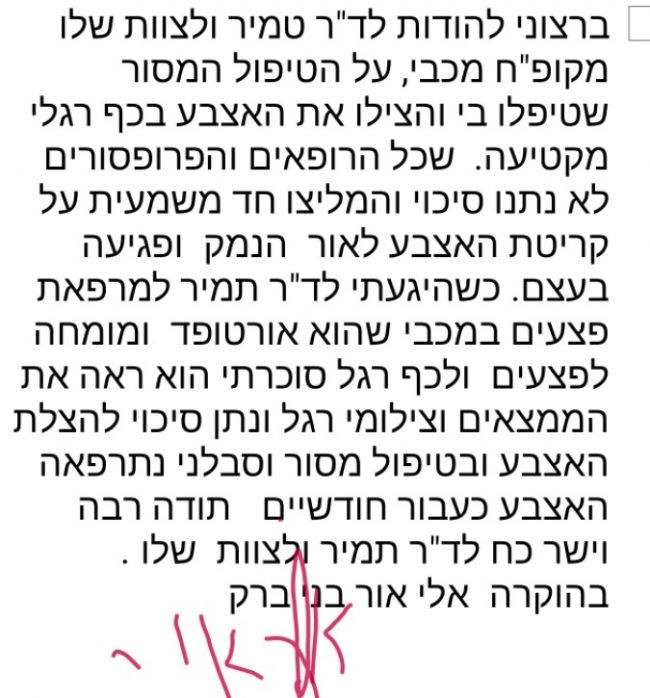 אלי אור